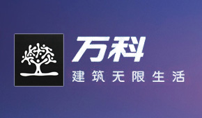 万科东丽湖项目 万科东丽湖项目