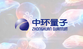 中环量子单页&PPT模板